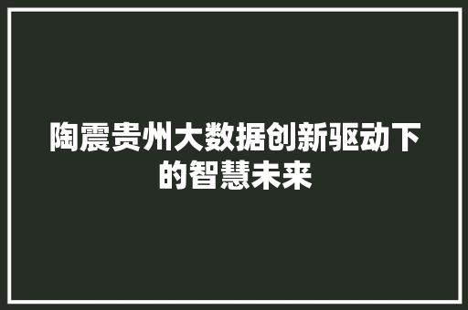 陶震贵州大数据创新驱动下的智慧未来