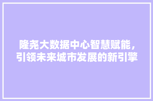 隆尧大数据中心智慧赋能，引领未来城市发展的新引擎