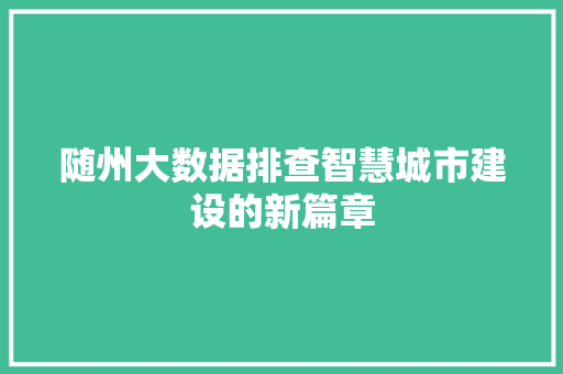 随州大数据排查智慧城市建设的新篇章