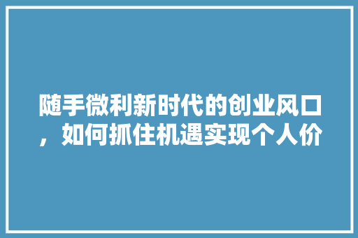 随手微利新时代的创业风口，如何抓住机遇实现个人价值