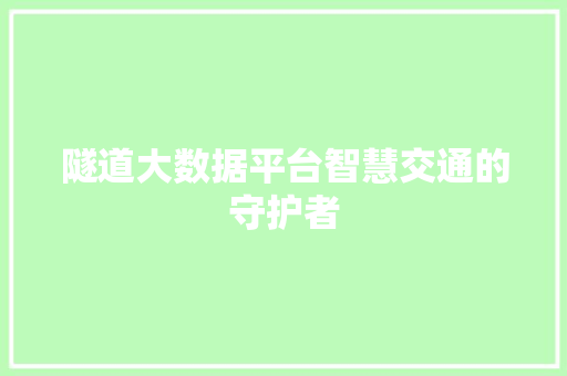 隧道大数据平台智慧交通的守护者