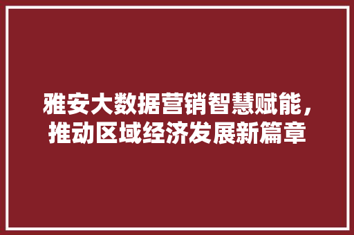 雅安大数据营销智慧赋能，推动区域经济发展新篇章