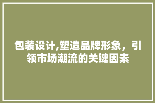 包装设计,塑造品牌形象，引领市场潮流的关键因素