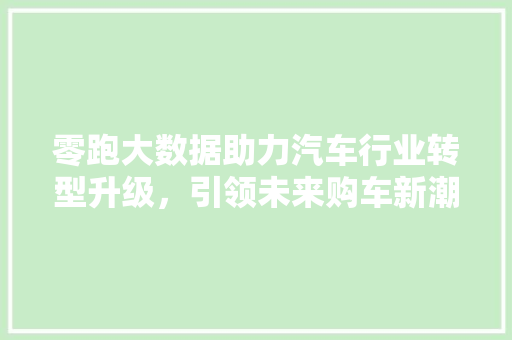 零跑大数据助力汽车行业转型升级，引领未来购车新潮流