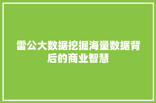 雷公大数据挖掘海量数据背后的商业智慧