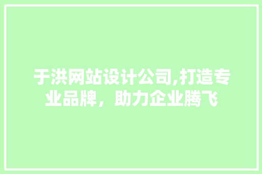 于洪网站设计公司,打造专业品牌，助力企业腾飞