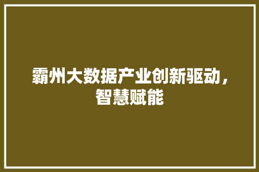 霸州大数据产业创新驱动，智慧赋能