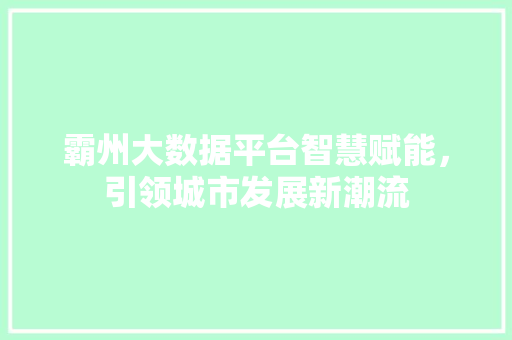 霸州大数据平台智慧赋能，引领城市发展新潮流
