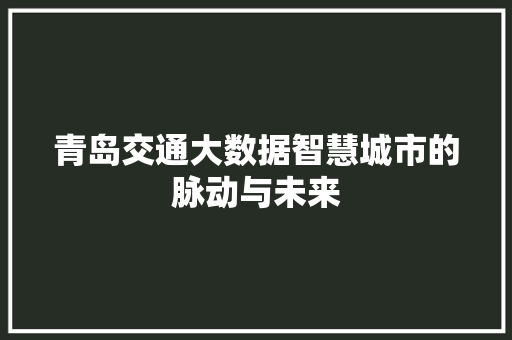 青岛交通大数据智慧城市的脉动与未来