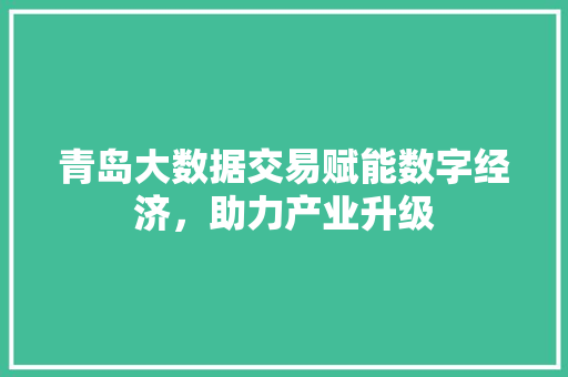 青岛大数据交易赋能数字经济，助力产业升级