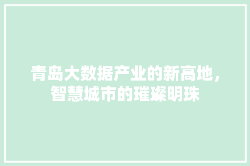 青岛大数据产业的新高地，智慧城市的璀璨明珠