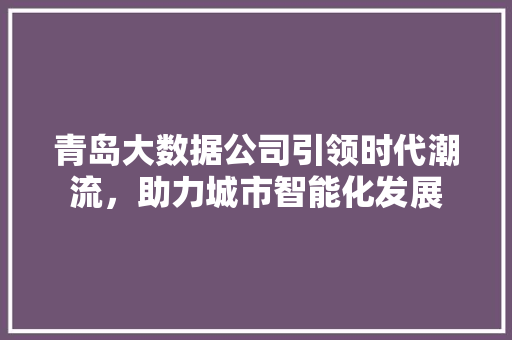 青岛大数据公司引领时代潮流，助力城市智能化发展