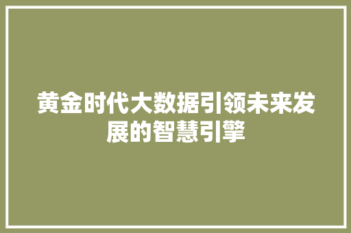 黄金时代大数据引领未来发展的智慧引擎