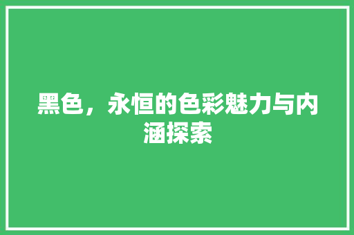 黑色，永恒的色彩魅力与内涵探索