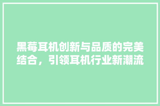黑莓耳机创新与品质的完美结合，引领耳机行业新潮流