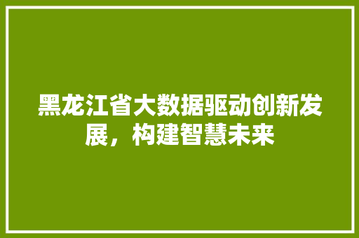黑龙江省大数据驱动创新发展，构建智慧未来