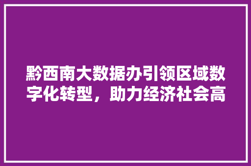 黔西南大数据办引领区域数字化转型，助力经济社会高质量发展