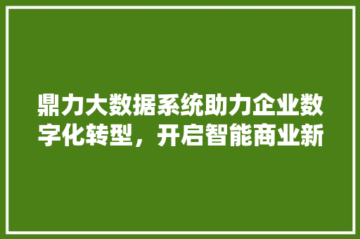鼎力大数据系统助力企业数字化转型，开启智能商业新篇章