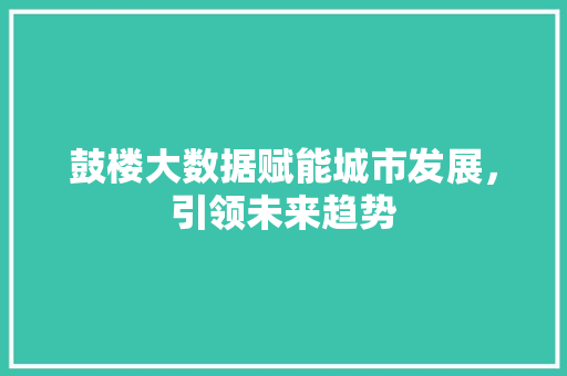 鼓楼大数据赋能城市发展，引领未来趋势