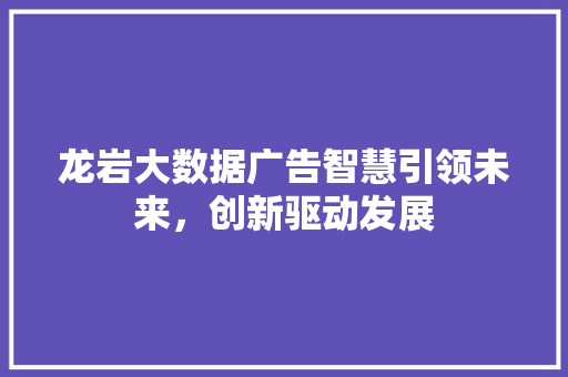 龙岩大数据广告智慧引领未来，创新驱动发展