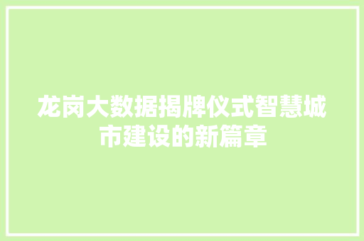 龙岗大数据揭牌仪式智慧城市建设的新篇章