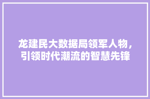 龙建民大数据局领军人物，引领时代潮流的智慧先锋