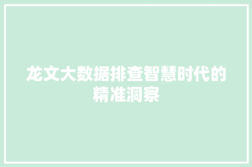 龙文大数据排查智慧时代的精准洞察