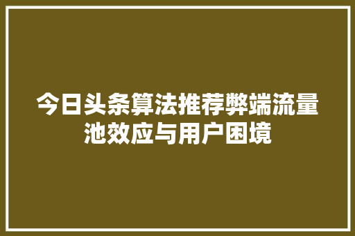 今日头条算法推荐弊端流量池效应与用户困境