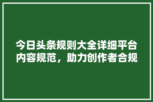 今日头条规则大全详细平台内容规范，助力创作者合规创作