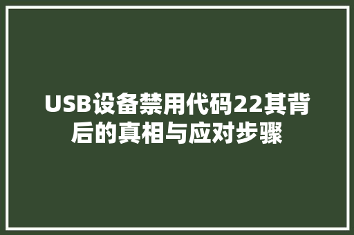 USB设备禁用代码22其背后的真相与应对步骤