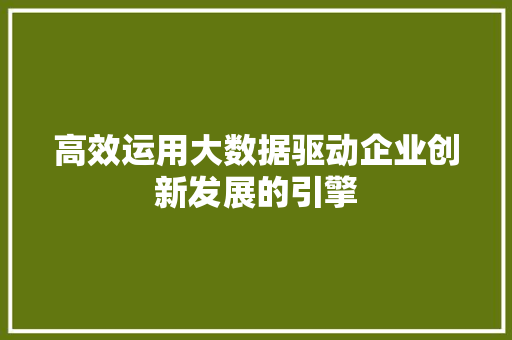 高效运用大数据驱动企业创新发展的引擎