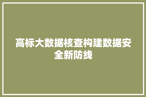 高标大数据核查构建数据安全新防线