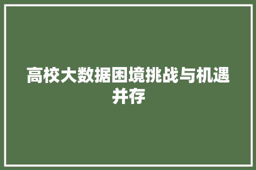 高校大数据困境挑战与机遇并存