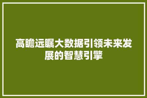高瞻远瞩大数据引领未来发展的智慧引擎
