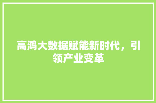 高鸿大数据赋能新时代，引领产业变革