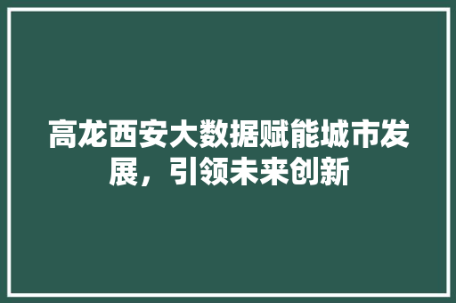 高龙西安大数据赋能城市发展，引领未来创新
