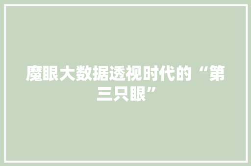 魔眼大数据透视时代的“第三只眼”