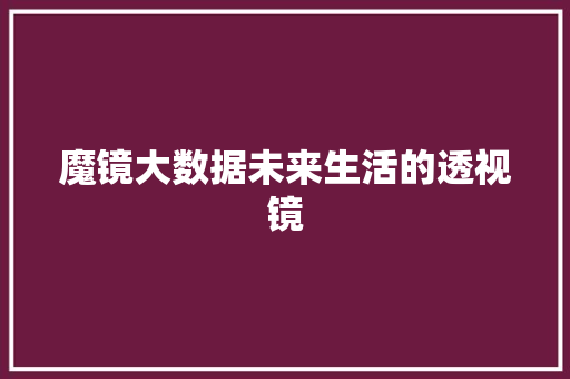 魔镜大数据未来生活的透视镜