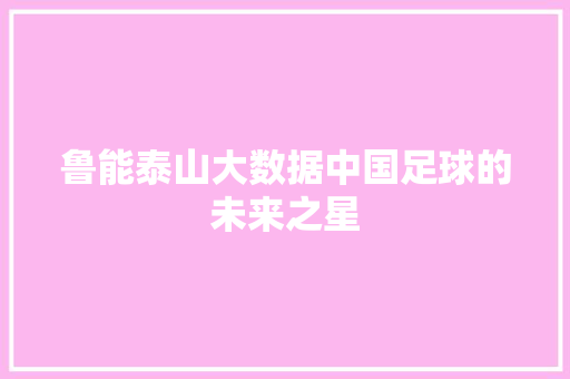 鲁能泰山大数据中国足球的未来之星