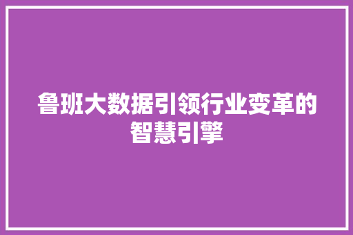 鲁班大数据引领行业变革的智慧引擎