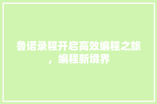 鲁诺录程开启高效编程之旅，编程新境界