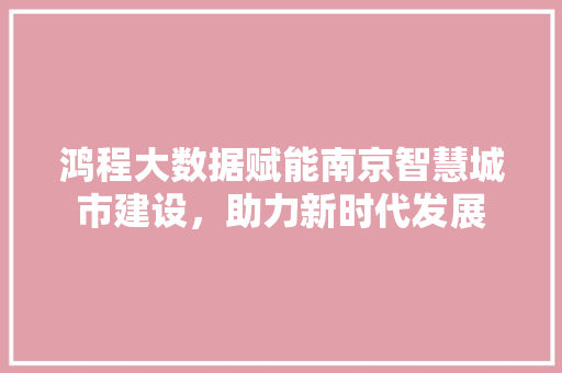 鸿程大数据赋能南京智慧城市建设，助力新时代发展
