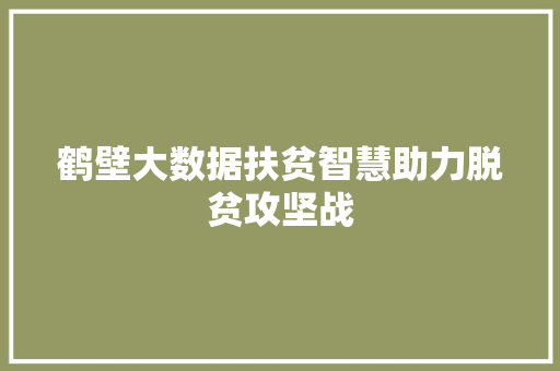 鹤壁大数据扶贫智慧助力脱贫攻坚战