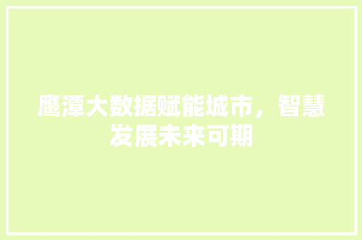 鹰潭大数据赋能城市，智慧发展未来可期