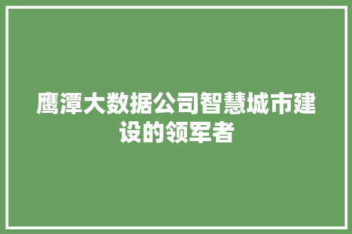 鹰潭大数据公司智慧城市建设的领军者