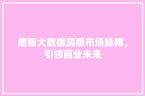 鹰眼大数据洞悉市场脉搏，引领商业未来