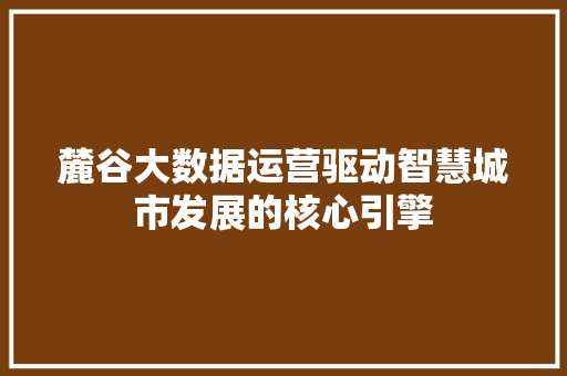 麓谷大数据运营驱动智慧城市发展的核心引擎