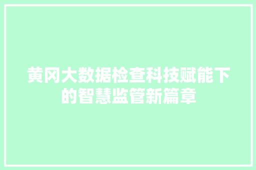 黄冈大数据检查科技赋能下的智慧监管新篇章