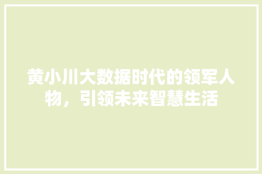 黄小川大数据时代的领军人物，引领未来智慧生活