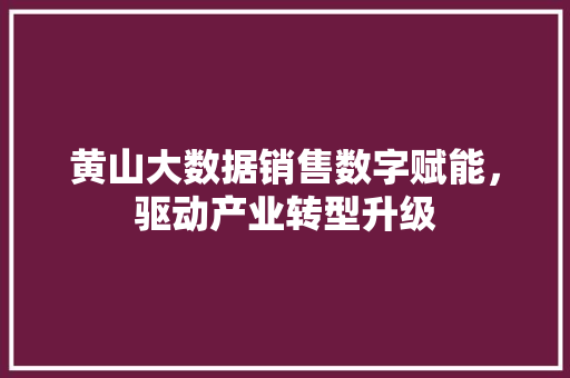 黄山大数据销售数字赋能，驱动产业转型升级